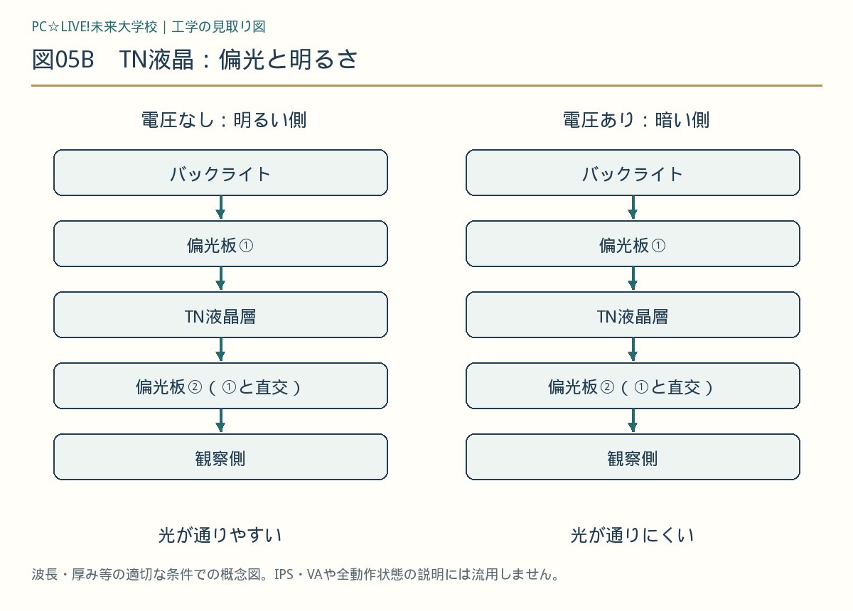 図05B TN液晶：偏光と明るさ